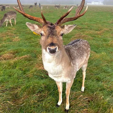 Quiet Double Ensuite In Prestige Location Gasthuis Dublin