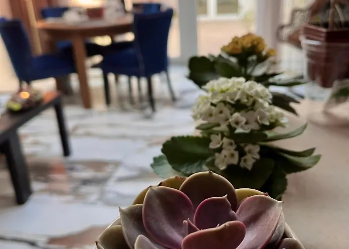 Quiet Double Ensuite In Prestige Location בית הארחה *