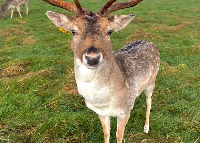 Quiet Double Ensuite In Prestige Location Gasthof Dublin